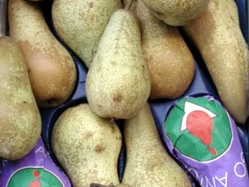 Rezept: DESSERT: Birnencreme DESSERT: Birnencreme - Rezept