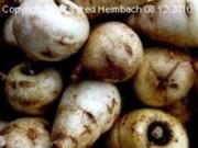 Gemüse – Kerbelrübenrösti a’la Manfred - Rezept
