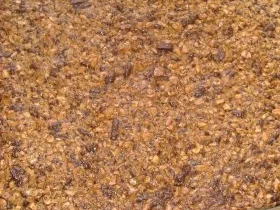 Rezept: Weihnachtsgebäck Nußschnitten Bild Nr. 4 Weihnachtsgebäck Nußschnitten - Rezept - Bild Nr. 4