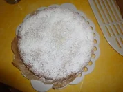 Mein Stollen aus der Spring-/Kastenform - Rezept