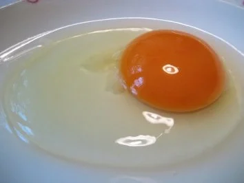 Rezept: Schnitzel mit Rahm-Champignons Bild Nr. 2 Schnitzel mit Rahm-Champignons - Rezept - Bild Nr. 2