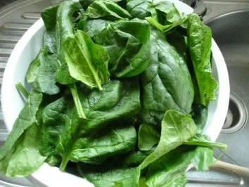 Rezept: FISCH: LACHS trifft auf MERLUZA (Seehecht) Bild Nr. 3 FISCH: LACHS trifft auf MERLUZA (Seehecht) - Rezept - Bild Nr. 3