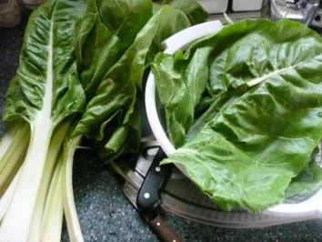 Rezept: FISCH: LACHS trifft auf MERLUZA (Seehecht) Bild Nr. 4 FISCH: LACHS trifft auf MERLUZA (Seehecht) - Rezept - Bild Nr. 4