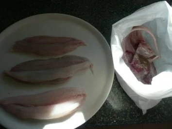 Rezept: FISCH :SEEZUNGE Bild Nr. 3 FISCH :SEEZUNGE - Rezept - Bild Nr. 3