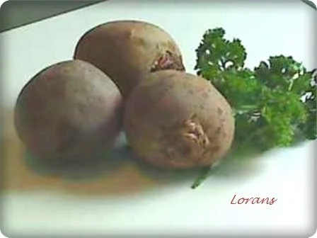 Rote Bete Suppe - Rezept - Bild Nr. 2