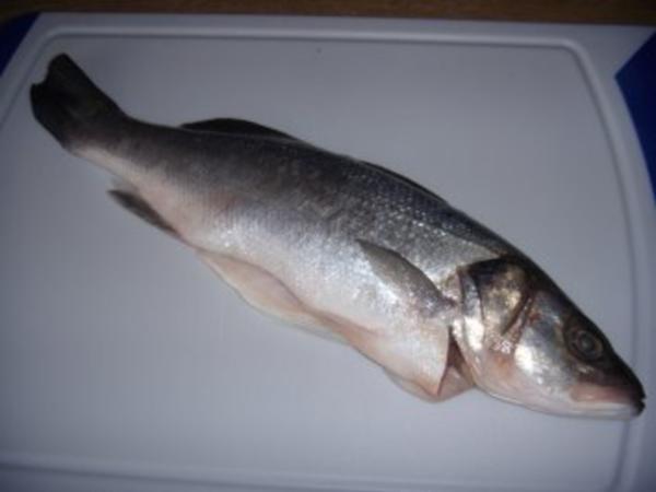 Loup de mer mit Kartoffel-Rosenkohl-Gratin - Rezept - kochbar.de