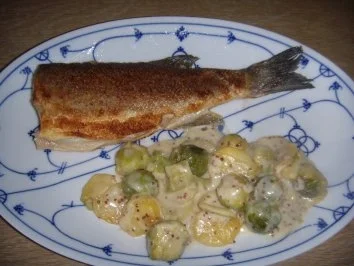 Loup de mer mit Kartoffel-Rosenkohl-Gratin - Rezept