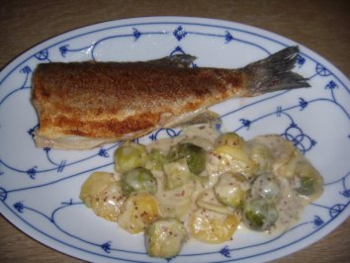 Loup de mer mit Kartoffel-Rosenkohl-Gratin - Rezept - kochbar.de