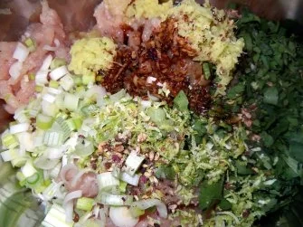 Rezept: DIM SUM mit pikanter Hähnchenfüllung Bild Nr. 3 DIM SUM mit pikanter Hähnchenfüllung - Rezept - Bild Nr. 3