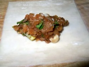 Rezept: DIM SUM mit pikanter Hähnchenfüllung Bild Nr. 5 DIM SUM mit pikanter Hähnchenfüllung - Rezept - Bild Nr. 5