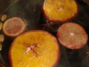 SELBSTGEMACHTER GLÜHWEIN - Rezept