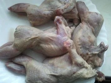 Rezept: Wachteln Bild Nr. 2 Wachteln - Rezept - Bild Nr. 2