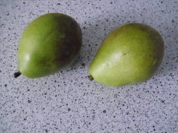 Kalbskotelett in Bavaria-blue-Sauce ~  Bavarian-blue-Spinat ~ Sekt-Graupen-Risotto ~ pochi - Rezept - Bild Nr. 19