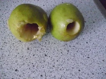 Kalbskotelett in Bavaria-blue-Sauce ~  Bavarian-blue-Spinat ~ Sekt-Graupen-Risotto ~ pochi - Rezept - Bild Nr. 20