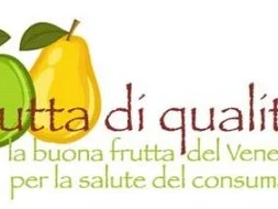 Rezept: Apfelpfannkuchen Bild Nr. 8 Apfelpfannkuchen - Rezept - Bild Nr. 8