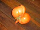 Tomatensauce - Rezept
