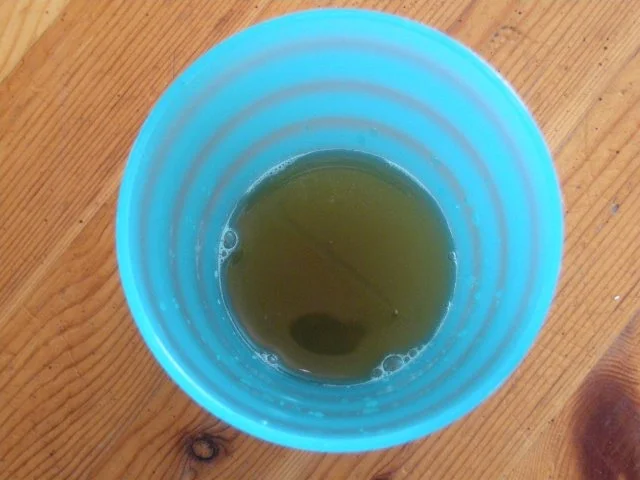 Zwiebelsirup - der natürliche Hustenlöser - Rezept - Bild Nr. 2