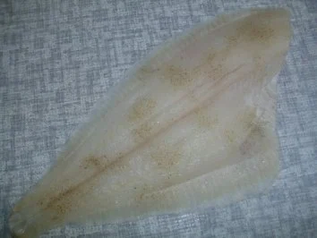 Seezunge Isadora - Rezept - Bild Nr. 2