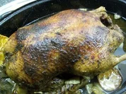 5h Cherry-Valley-Ente - Rezept