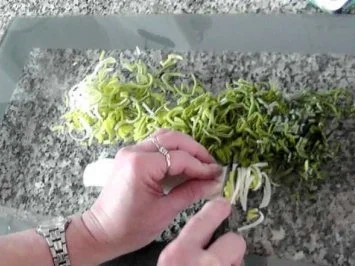 Frischkäse "Sommerland" - Rezept - Bild Nr. 3