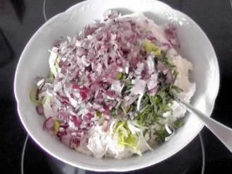 Frischkäse "Sommerland" - Rezept - Bild Nr. 7