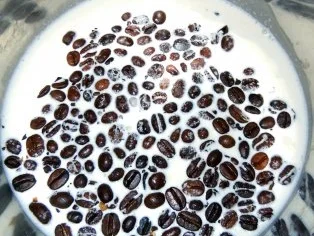 Kaffee-Panna-Cotta mit Kardamom-Gelee, Apfel-Ragout und dekorativem Eierlikör - Rezept - Bild Nr. 2