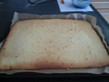 Frühlings Zitronen- Orangenkuchen - Rezept - Bild Nr. 2