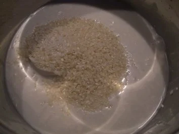 Rezept: Exotisches Kokos-Reis-Dessert mit Mango Bild Nr. 2 Exotisches Kokos-Reis-Dessert mit Mango - Rezept - Bild Nr. 2