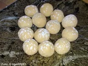 Weihnachten: Marzipankugerl - Rezept