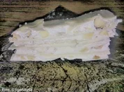 Weihnachten: Türkisches Konfekt mit Nüssen - Rezept