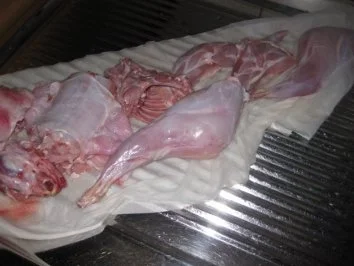 Kaninchen wie ich es mag...... - Rezept - Bild Nr. 2