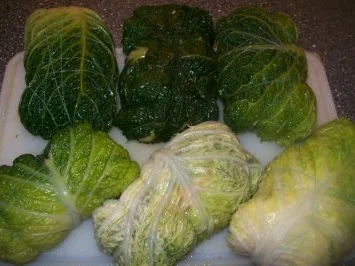 Kohlroulade - Wirsingroulade - Rezept - Bild Nr. 5