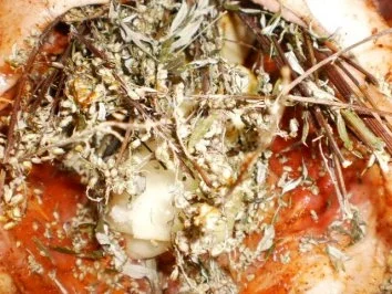 Weihnachtsgans - Rezept - Bild Nr. 6