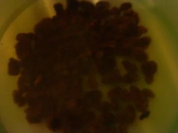 Rezept: Zwergi's Kabeljaufilet - Experiment Nr. 1 Bild Nr. 9 Zwergi's Kabeljaufilet - Experiment Nr. 1 - Rezept - Bild Nr. 9