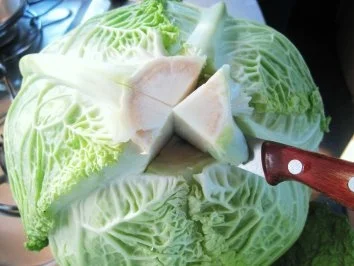 Rezept: Wirsing mit Wild-Hackfleisch gefüllt ... Bild Nr. 3 Wirsing mit Wild-Hackfleisch gefüllt ... - Rezept - Bild Nr. 3