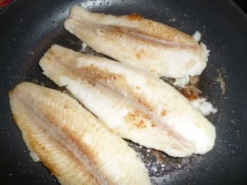 Rezept: Welsfilet mit Kräutersauce...... Bild Nr. 2 Welsfilet mit Kräutersauce...... - Rezept - Bild Nr. 2