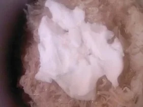 Rezept: Schweineshaxe mit Sauerkraut und Stampf á la Dieter Bild Nr. 15 Schweineshaxe mit Sauerkraut und Stampf á la Dieter - Rezept - Bild Nr. 15