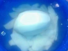 Rezept: Schweineshaxe mit Sauerkraut und Stampf á la Dieter Bild Nr. 18 Schweineshaxe mit Sauerkraut und Stampf á la Dieter - Rezept - Bild Nr. 18