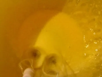 Zwergi's Tiramisu - Rezept - Bild Nr. 4