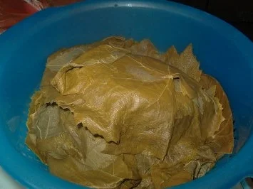 Gefüllte Weinblätter, mit Fleisch - Rezept - Bild Nr. 2