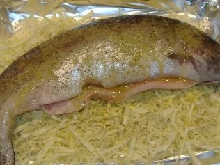 Lachsforelle mit Weißkohl aus dem Ofen - Rezept - Bild Nr. 3