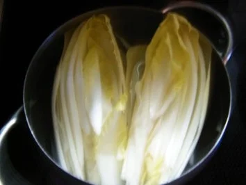 Puten -Cicoree-Auflauf - Rezept - Bild Nr. 4