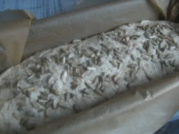 Rezept: ( Brot ) Sonnenblumenkernbrot Bild Nr. 4 ( Brot ) Sonnenblumenkernbrot - Rezept - Bild Nr. 4