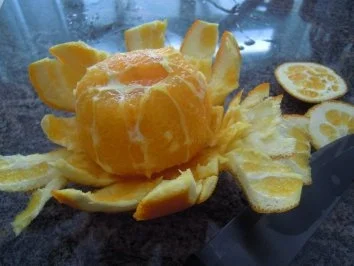 Curryhühnchen in Orangensahnesauce - Rezept - Bild Nr. 8