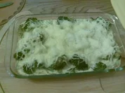 Brokoliauflauf - Rezept