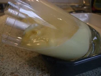 Rezept: Vanille Joghurt/Pudding der besonderen Art Bild Nr. 3 Vanille Joghurt/Pudding der besonderen Art - Rezept - Bild Nr. 3