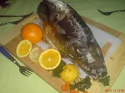 Karpfen blau - Rezept