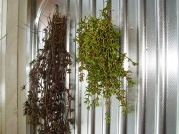 Ölmarinade- mit Bild - Rezept - Bild Nr. 8