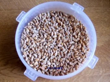 Rezept: Dessert: Vollwert-Vanillepudding Bild Nr. 2 Dessert: Vollwert-Vanillepudding - Rezept - Bild Nr. 2