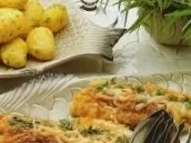 Estragon-Fischfilet mit Käse überbacken - Rezept